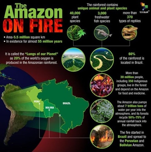 Amazon Fire.jpg