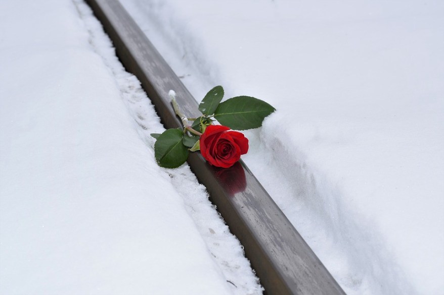 Rose.jpeg