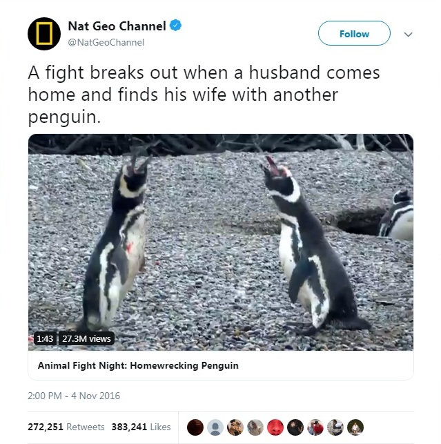 Penguin.jpg