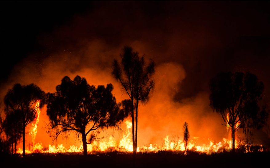 Bush fire in Australia.jpg